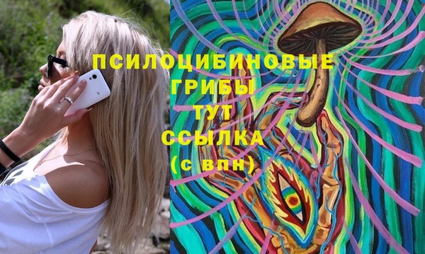 прущие грибы Алексин