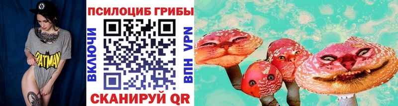 Псилоцибиновые грибы Cubensis  Славск 